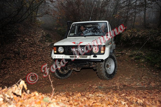 DSC_3733.jpg